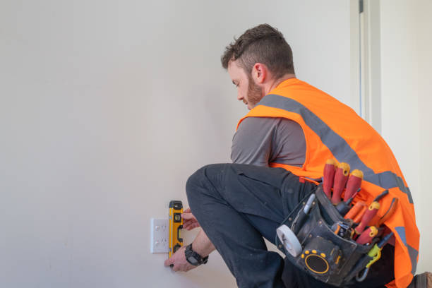 Best Electric Panel Repair  in Cross Roads, TX